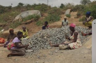 Women working to feed the family